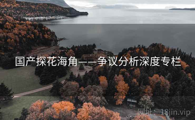 国产探花海角——争议分析深度专栏