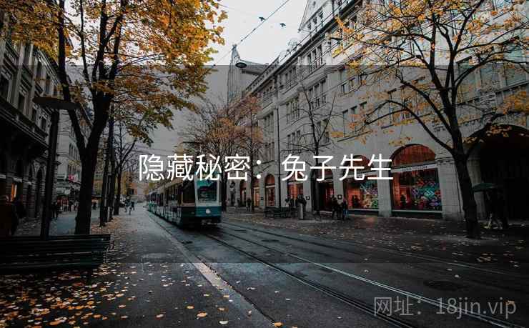 隐藏秘密:兔子先生 隐藏秘密:兔子先生