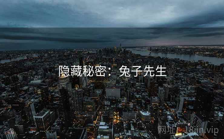 隐藏秘密:兔子先生 隐藏秘密:兔子先生