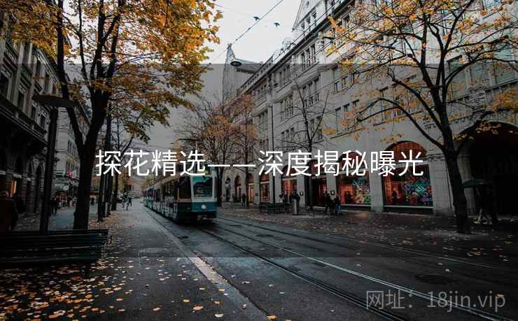 探花精选——深度揭秘曝光