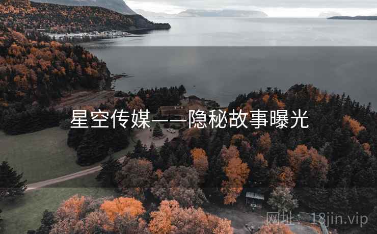 星空传媒——隐秘故事曝光