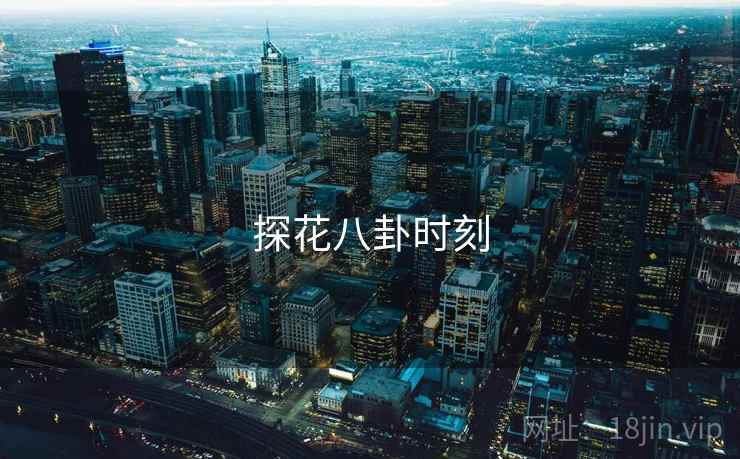 探花八卦时刻