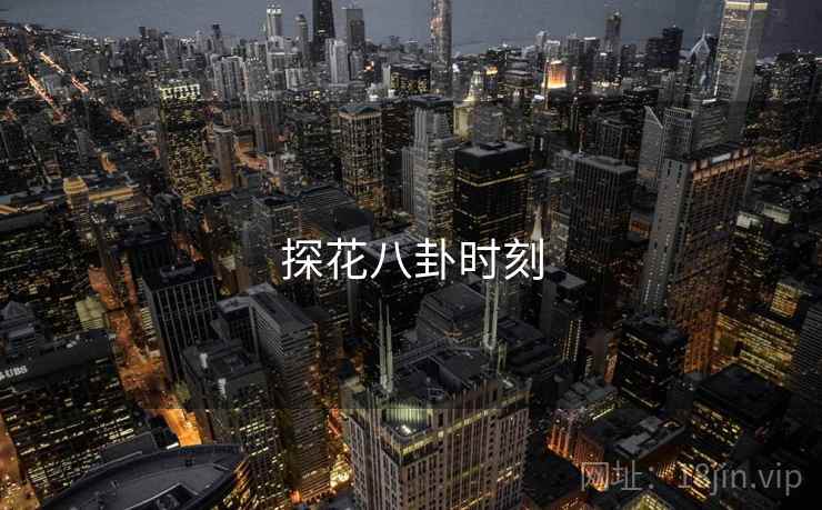 探花八卦时刻