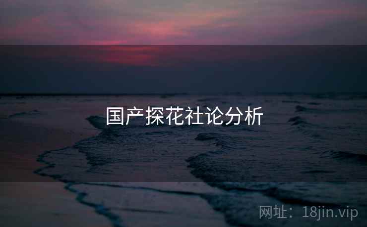 国产探花社论分析