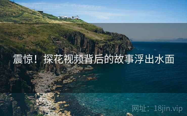 震惊！探花视频背后的故事浮出水面