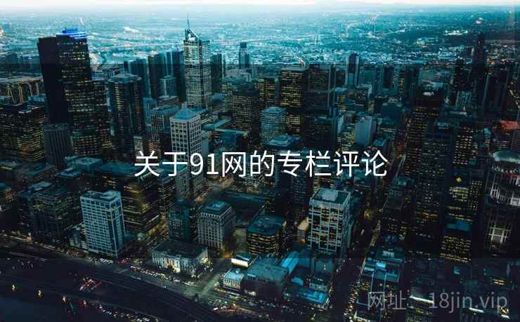 关于91网的专栏评论