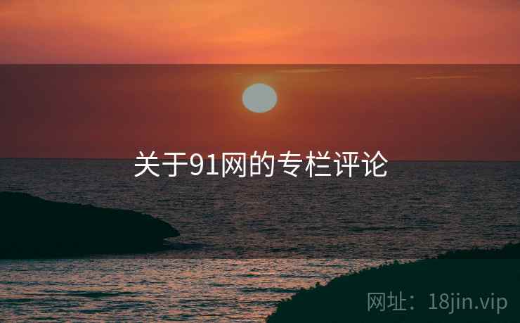 关于91网的专栏评论
