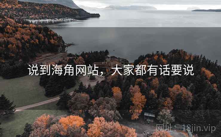 说到海角网站，大家都有话要说