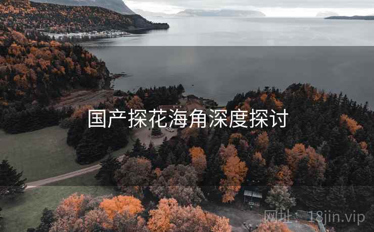 国产探花海角深度探讨