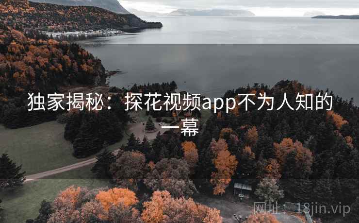 独家揭秘：探花视频app不为人知的一幕