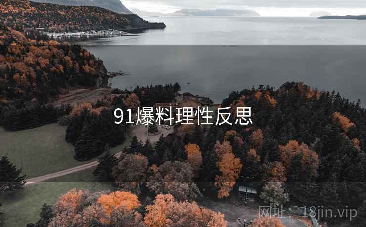 91爆料理性反思 91爆料理性反思