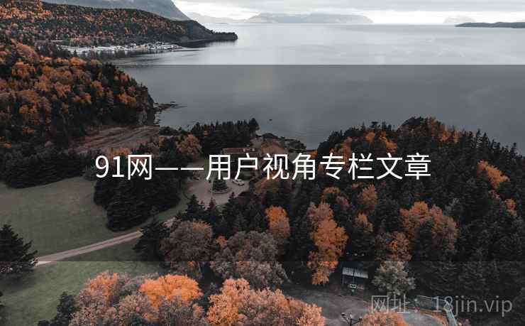 91网——用户视角专栏文章
