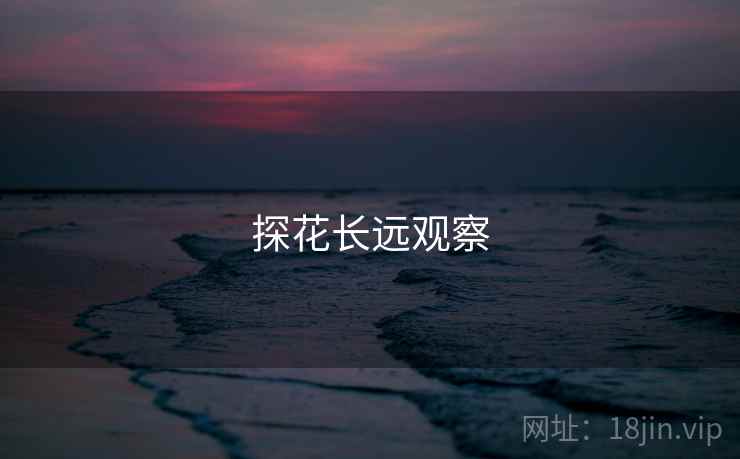 探花长远观察 探花长远观察