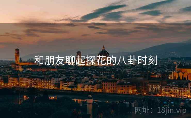 和朋友聊起探花的八卦时刻