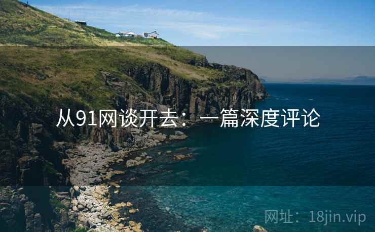 从91网谈开去:一篇深度评论