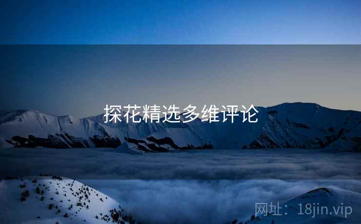 探花精选多维评论