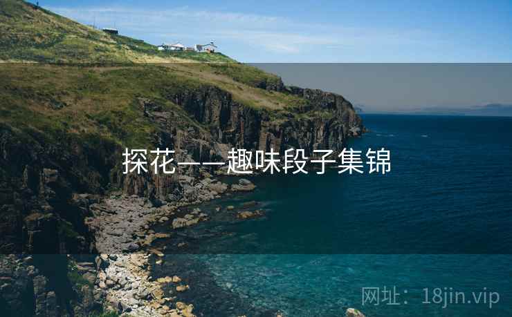 探花——趣味段子集锦 探花——趣味段子集锦